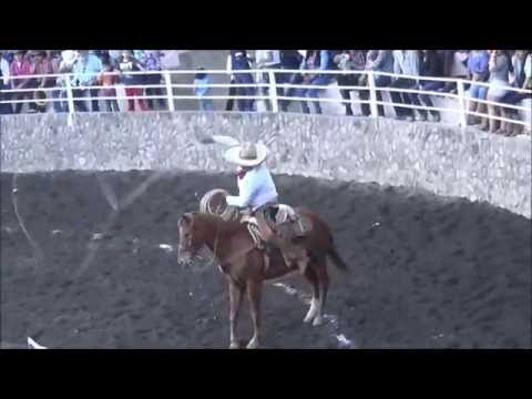 2° Campeonato M  Rafael Cardenas MANGANAS A CABALLO