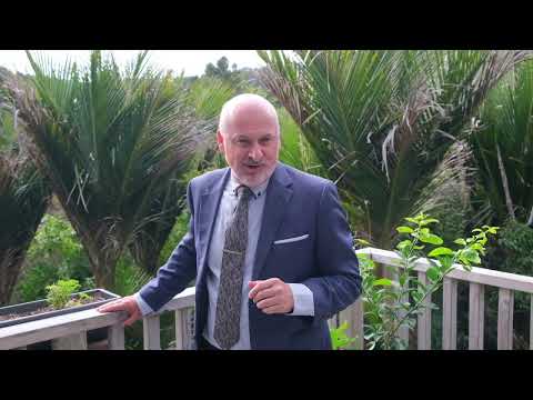 81 Huia Road, Titirangi - The Smiths - Ray White Austar Group