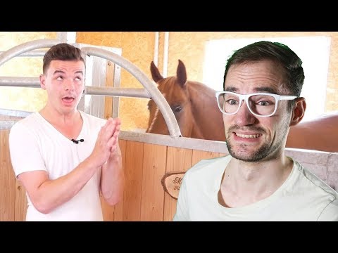 Broady REAGIERT auf Tourette auf dem Reiterhof von Gewitter im Kopf !