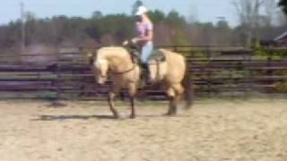 preview picture of video 'Training quarterhorse mare'