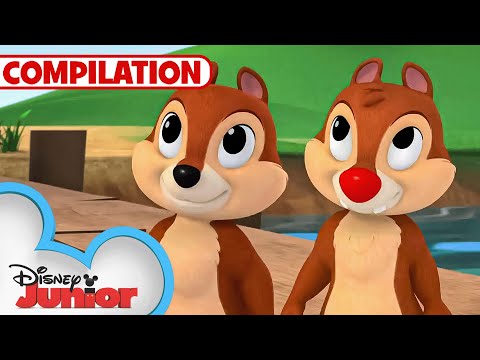 Adventures with Chip 'N Dale 🐿️ | Nutty Tales | Shake Your Tail | 1 Hour Compilation |@disneyjr
