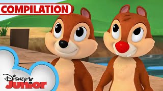 Adventures with Chip N Dale 🐿️  Nutty Tales  