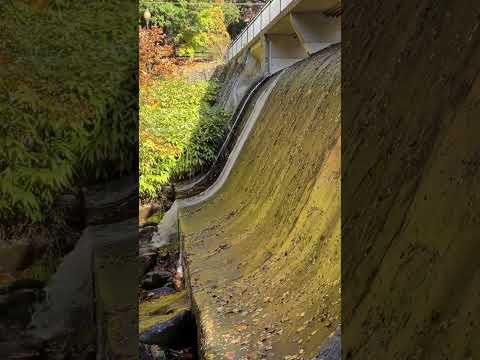 10.15.2022 Montreat, NC