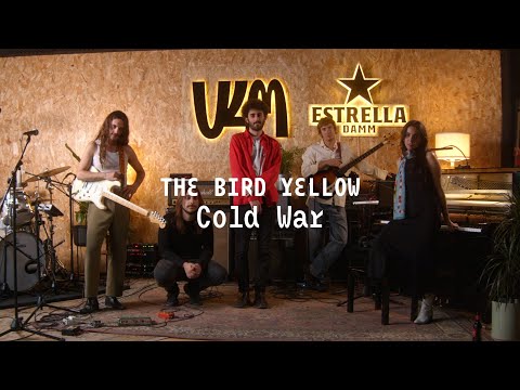 V4M THE BIRD YELLOW Cold War