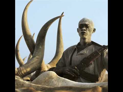 Ngoth Malang feat Malok's Album