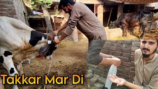 TAKKAR MAR KR ZAKHMI KR DIYA | QURBANI VLOG | BAKRA EID 2023|