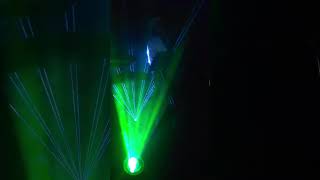 Jungle Floor- Brothertiger @ Papertiger