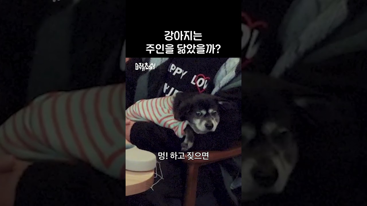 닮은 것 같기도, 아닌 것 같기도…