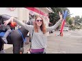 Search for the Headless Horseman in Sleepy Hollow | PERSONAL VLOG Search for the Headless Horseman in Sleepy Hollow | PERSONAL VLOG
