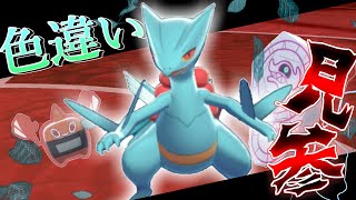 【ポケモン剣盾】アルチャン準レギュラー集結!!青い閃光 色違いのジュカイン爆誕!!!?