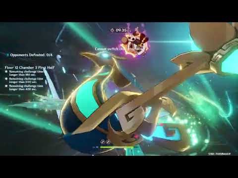 My C6 Queens Raiden And Xianyun Slaying The Spiral Abyss ( Genshin Impact )