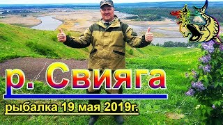 Свияга рыбалка на карася