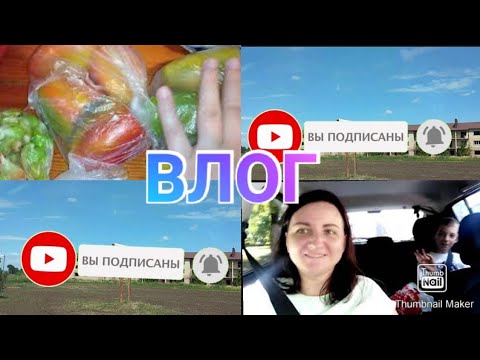 Влог / Закупились овощами /  Автовлог  / Прогулка