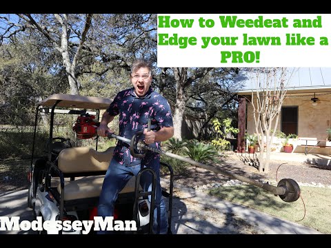 How to FIX an UGLY Lawn with RESULTS - Step by Step for Beginners EASY