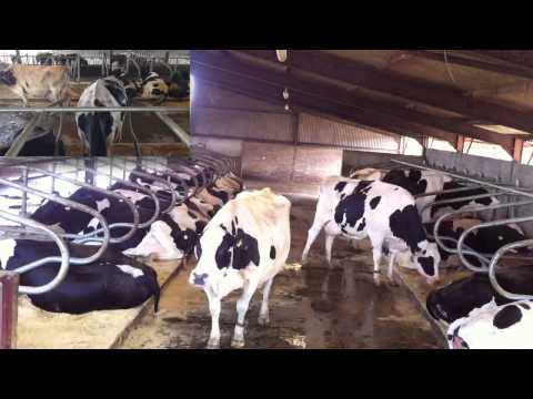 Pack Mat timelapse video