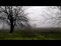 Damien Jurado - Fuel