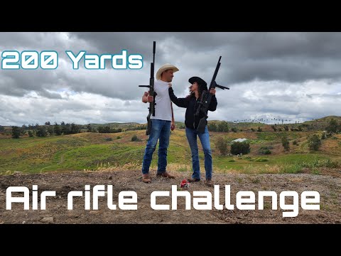 200 yards with Air guns.  Air Venturi vs Gauntlet