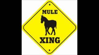 Gov't Mule  I Wish.wmv