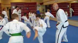 preview picture of video 'Martial Arts in Asheville, NC TaeKwonDo Introduction'