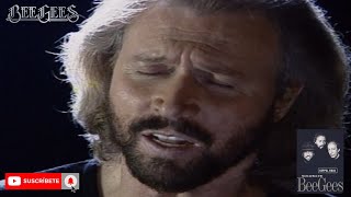 BEE GEES:  I COULD NOT LOVE YOU MORE (KEPPEL ROAD)