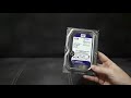 HDD SATA 10.0TB WD Purple 5400rpm 256MB WD100PURZ - відео