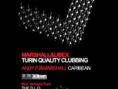 Marshall & Libex - Turin Quality Clubbing (Original Mix) [303Lovers]