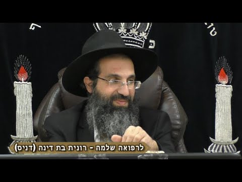 הלכות טריפות - ב' - ריאה | יורה דעה - סימן לה - לט | חלק 8 | הרב שי עובד