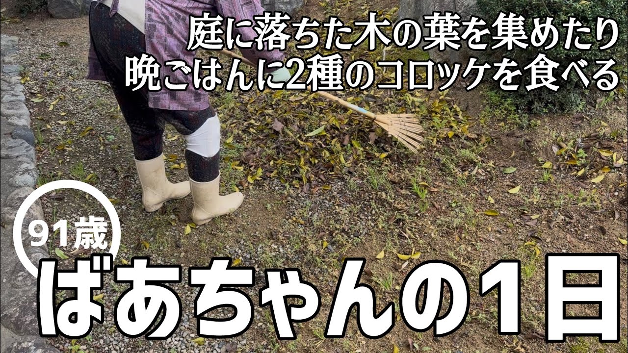【日常】91歳のばあちゃんの1日 庭に落ちた木の葉を集めておいたり孫達が買ってきてくれた2種のコロッケを晩ごはんに食べたりしました【田舎暮らし】【vlog】