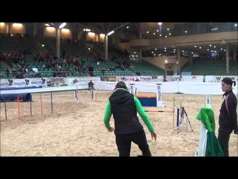 BACK 02.01.15 Juju A1 und J1