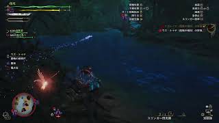 モンハンワイルズ　参加型　太刀練習してます