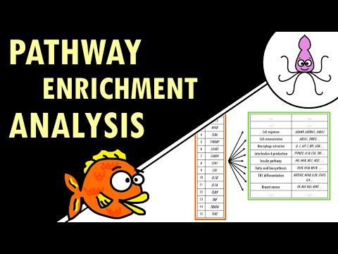 Pathway enrichment analysis - simple explanation!
