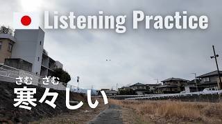 A Cold Wave Winter Walk in Japan | Japanese Listening Practice