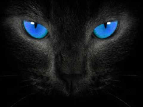 DJ Hell Tresor Berlin