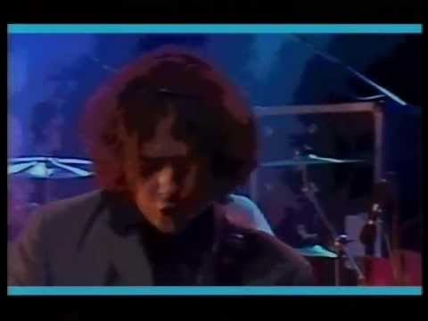 The Icicle Works, live in 1984 - Birds Fly (Whisper To A Scream)