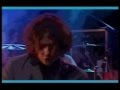 The Icicle Works, live in 1984 - Birds Fly (Whisper ...