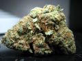 Kush Is My Cologne-Gucci Mane ft BunB E40 & Devin the Dude