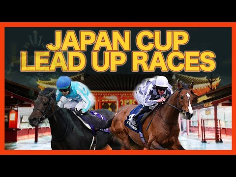 2022 Japan Cup Lead Up - SHAHRYAR, VELA AZUL, DANON BELUGA