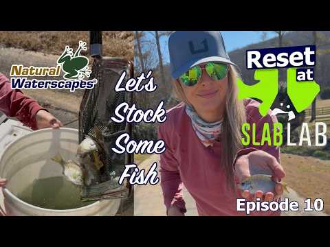 The Next Generation Begins | Stocking Fish at the Slab Lab (Episode 10)