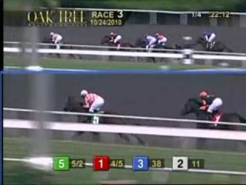 The 34th Running of The Anoakia Stakes - $55,000 Added
