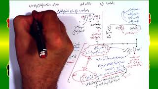 صورة 49 √ نواصب المضارع المباشرة