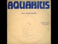 Aquarius - The Seafarers (Very Rare Synth-Pop ...