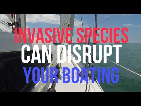 Introduction to Invasive Species and Biosecurity for recreational vessels