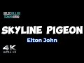 Skyline Pigeon - Elton John (karaoke version)