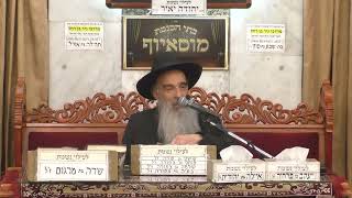 הרב מאיר דוד שמואלי - פרשת ויגש תשפ"ה