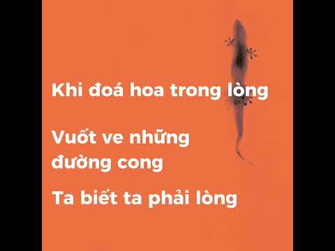 KARAOKE PHẢI LÒNG - THẮNG