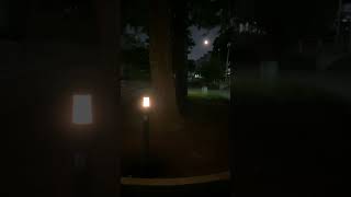 Download lagu 🌖月の光 フジコヘミング Moonlight Fujiko Hemming mp3 Download lagu 🌖月の光 フジコヘミング Moonlight Fujiko Hemming mp3