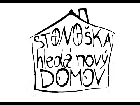 STONOšKA hledá nový domov