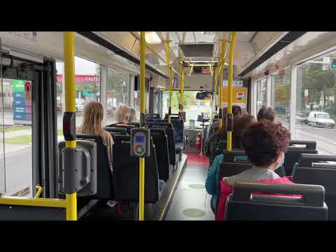 Final Gas Scania Trip for State Transit - m/o3509 Scania L113CRB CNG Orana