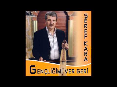 SEREF KARA - MEYVE AGACI 2010