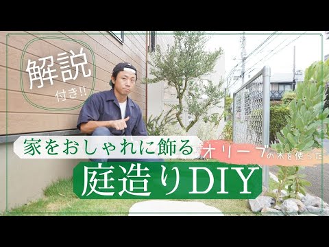 オリーブの牧草地